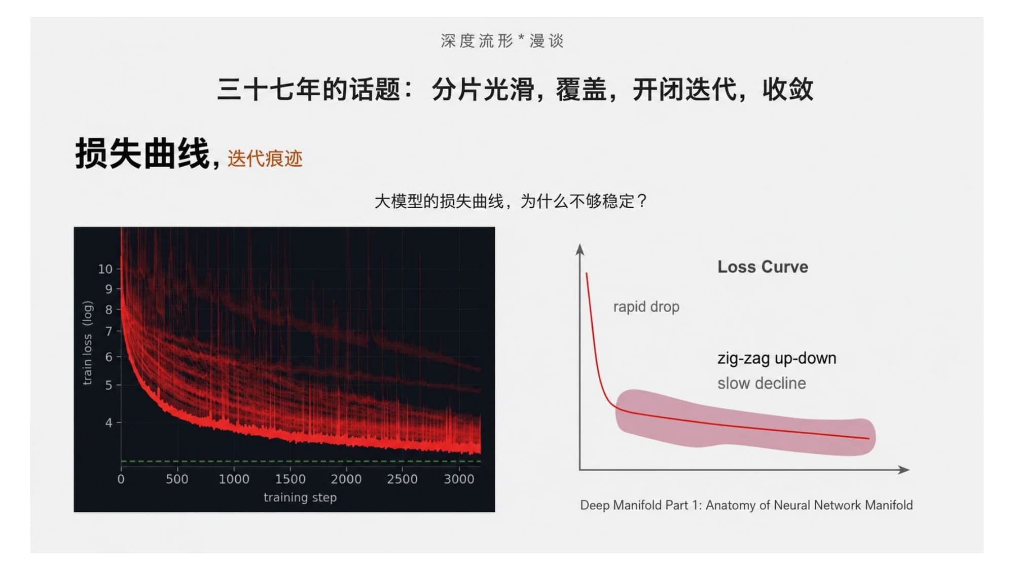 大模型损失曲线:左边是真实训练 loss(log)随训练步数下降的密集红色迹线,初期快速下降后长期抖动;右边示意——rapid drop 之后是 zig-zag up-down 的缓慢下降。